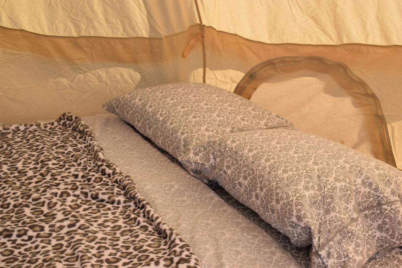 Starlight Tent 2 Holbrook Buitenkant foto